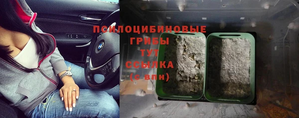 марки nbome Бородино